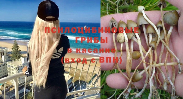 винт Новодвинск