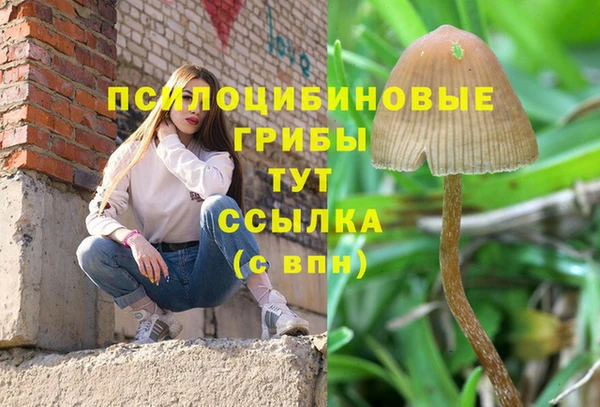 круглые Алапаевск
