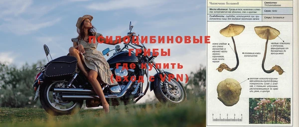 мяу мяу мука Нязепетровск