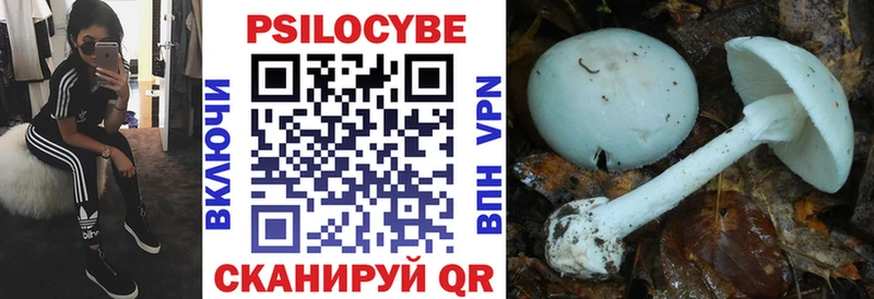 наркотики  МЕГА зеркало  Галлюциногенные грибы Magic Shrooms  Руза 